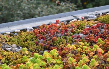 the cost of St Pauls Cray green roof installation