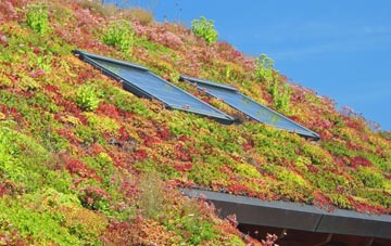St Pauls Cray living roof systems